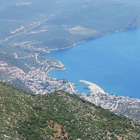 호텔 Club Capa 카스